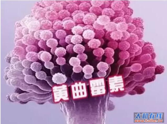 QQ截图20160511173117.jpg