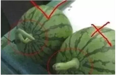 QQ截图20160523111703.jpg