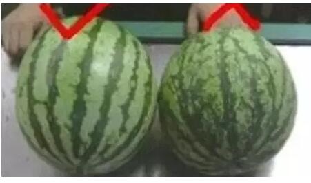 QQ截图20160523111658.jpg