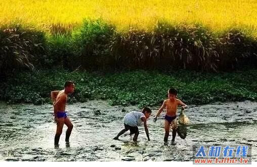 QQ截图20160718171247.jpg