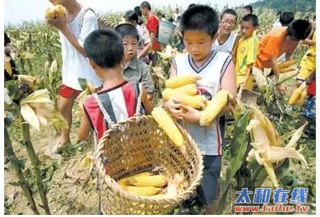 QQ截图20160718171309.jpg