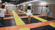 27d620989485dac625ea273d7fee61cf.gif
