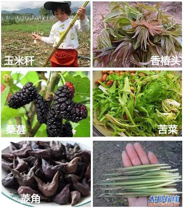 QQ截图20170803225634.jpg