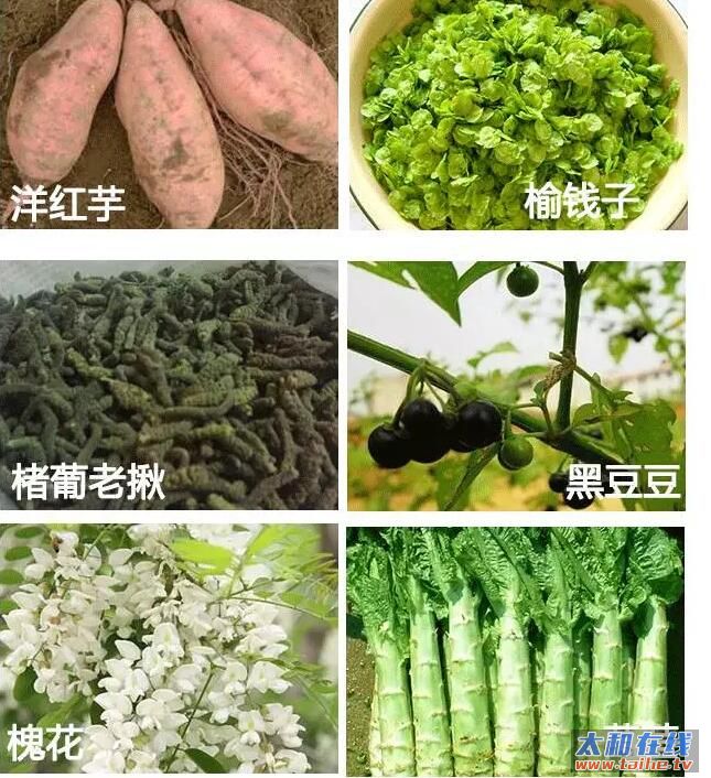 QQ截图20170803225641.jpg
