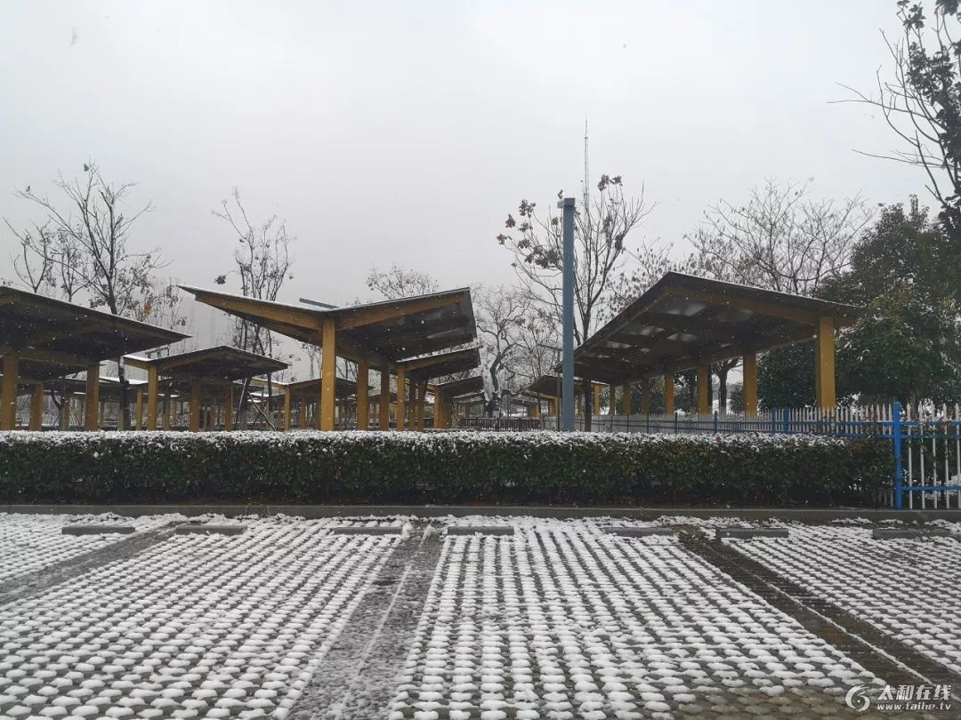 w19.jpg
