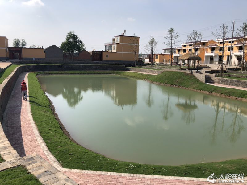 w4.jpg