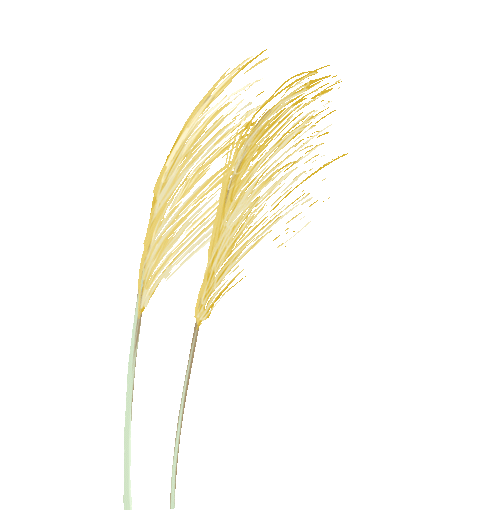 w3.jpg