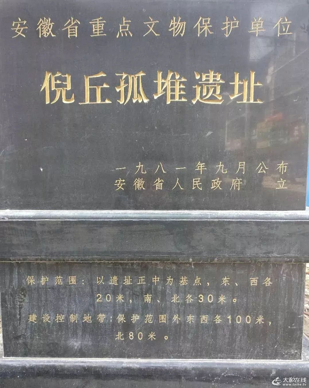 w9.jpg