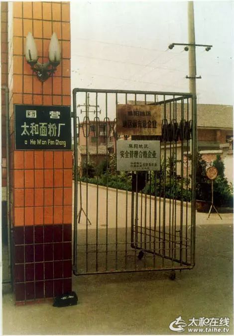 w11.jpg