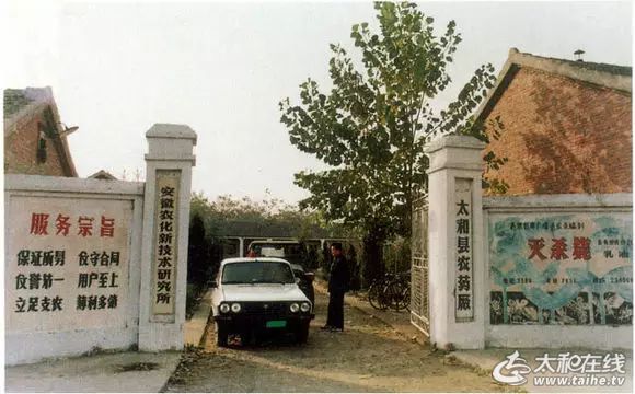 w13.jpg