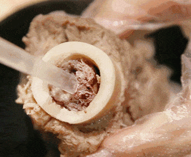 w12.jpg