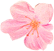 w4.jpg
