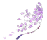 w3.jpg