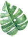 w8.jpg