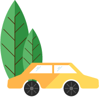 w5.jpg