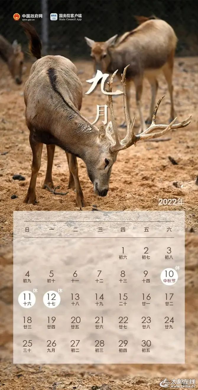 微信图片_20220329081334.jpg