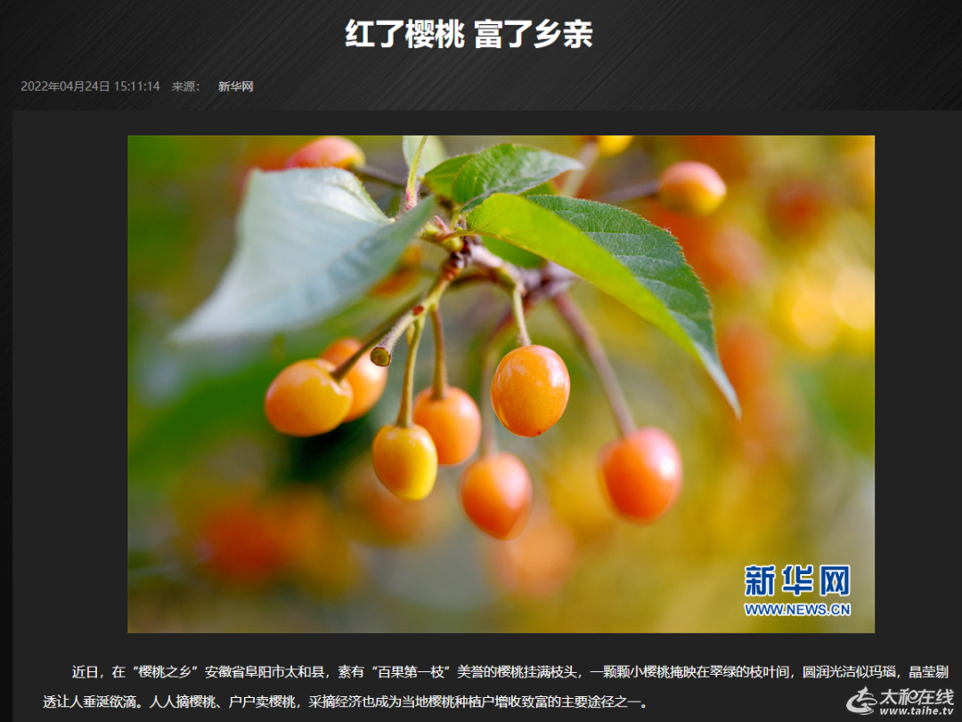 微信图片_20220427091205.png