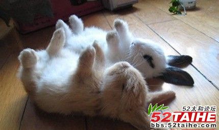 杯具图片33.jpg