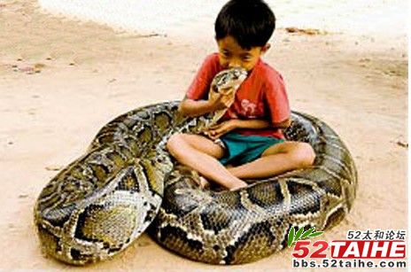 男孩与巨蟒相伴六年2.jpg