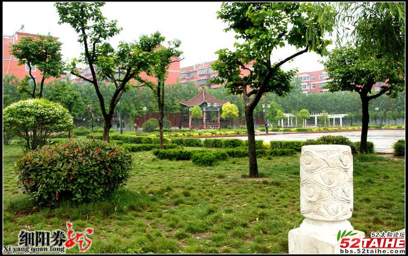 太和细阳广场6.jpg