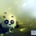 物件风情