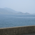 樱花、海