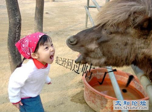 回帖.jpg