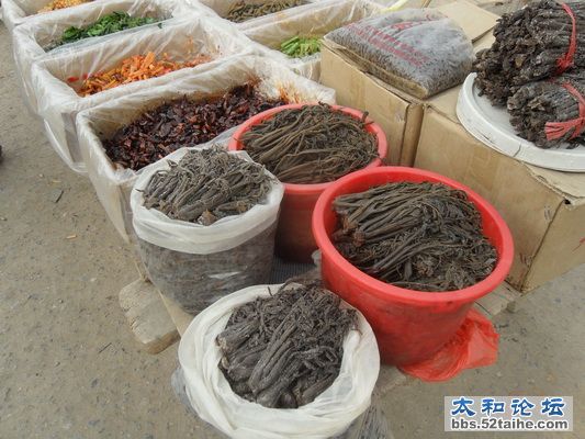 SAM_6448_调整大小.JPG