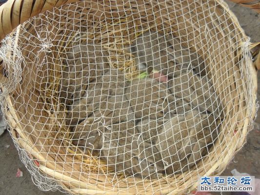 SAM_6427_调整大小.JPG