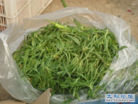 SAM_6429_调整大小.JPG