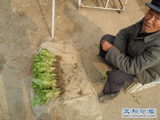 SAM_6435_调整大小.JPG