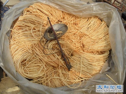 SAM_6447_调整大小.JPG