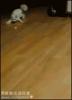 7efcbd21jw1dmxnd3k073g.gif