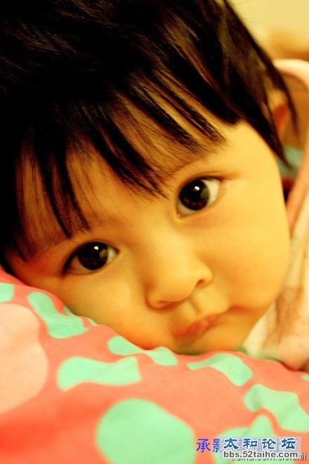 p_large_xoda_5a060006face5c41.jpg