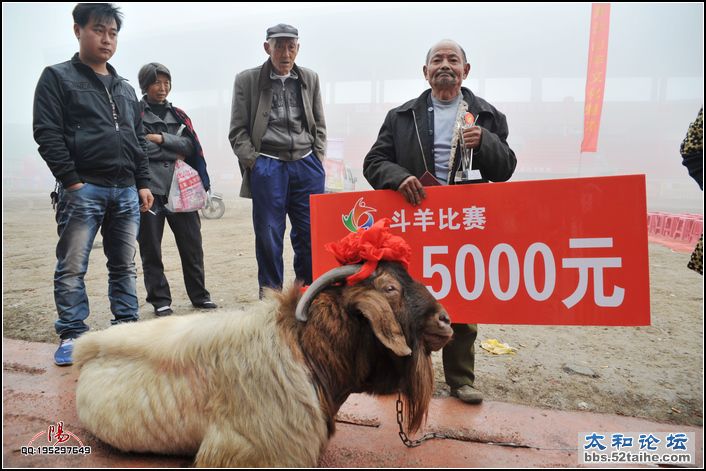 一等奖3.jpg