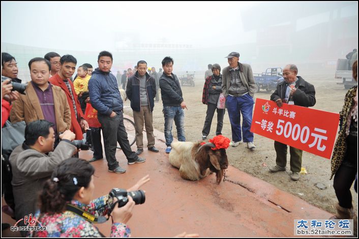 一等奖4.jpg