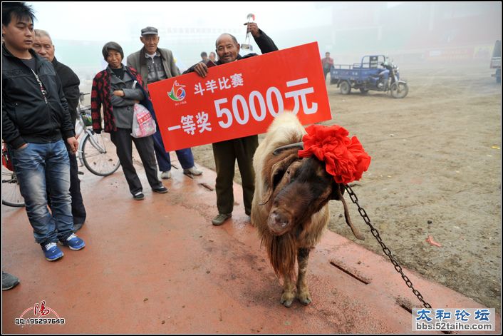 一等奖5.jpg