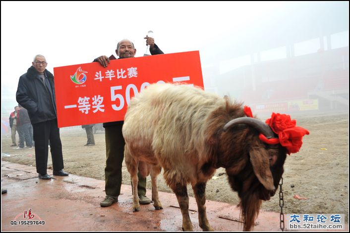 一等奖6.jpg