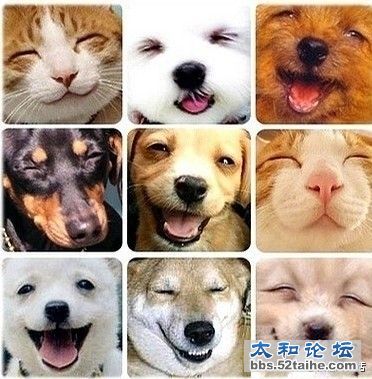 上天给了我们不同的肤色，可是我们有相同的笑容.jpg