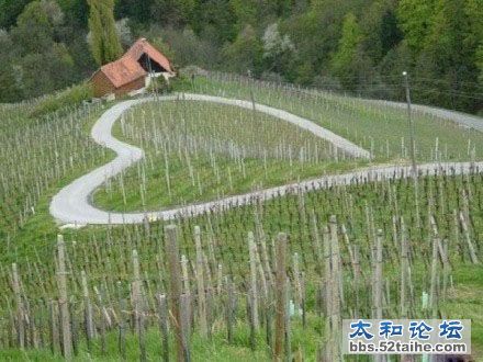 2011111311363969319.jpg