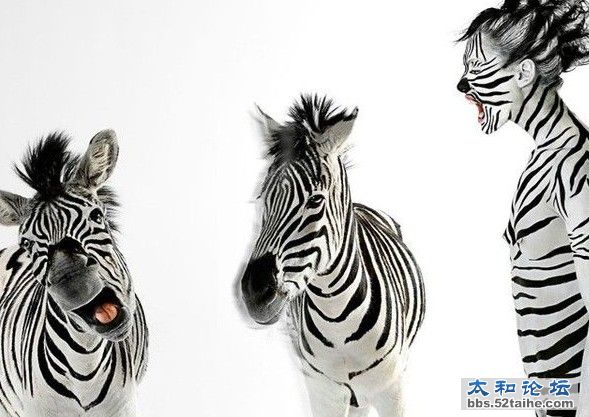 QQ截图20120110180006.jpg