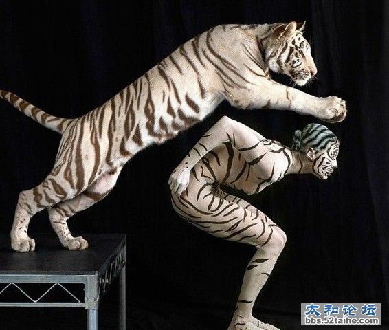 QQ截图20120110180036.jpg