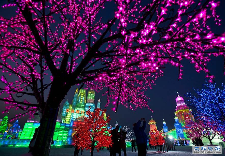 2012.1.5,冰雪节上美丽的树灯。（ANDY WONG   ASSOCIATED PRESS）.jpg