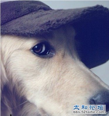 标准的英伦范儿.jpg