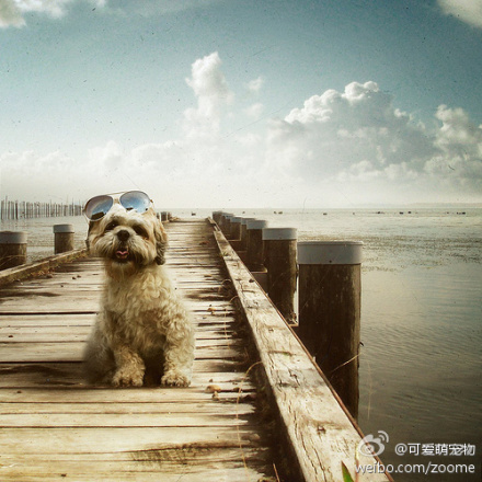 瞧瞧人家这派头，这范儿.jpg
