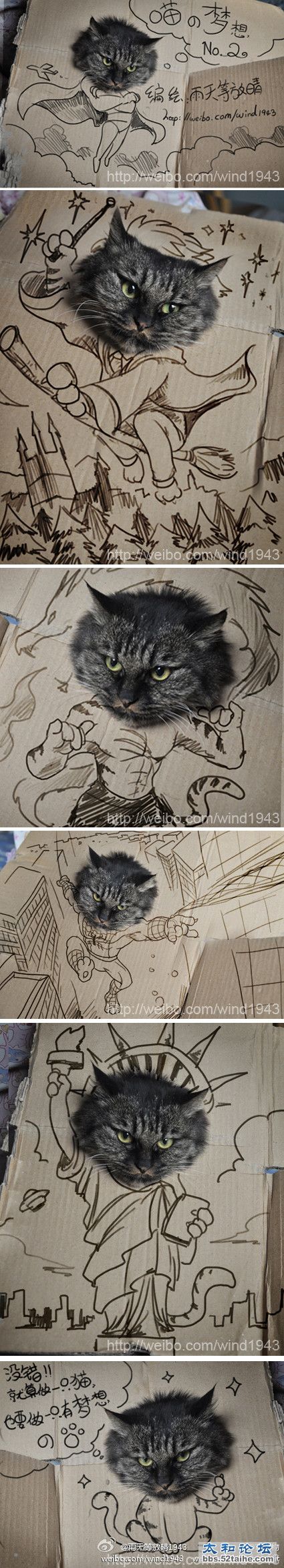 作为一只猫，也要有强大的理想！.jpg