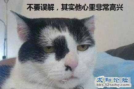 QQ截图20120317092656.jpg