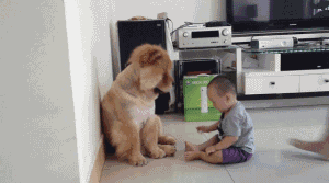 你敢摸我的脚，我也摸你一下.gif