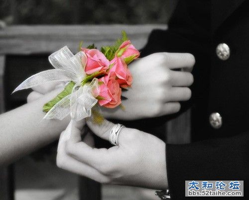 d41a55c5-7f8a-4cd6-b521-310410e9626b_800X600.jpg