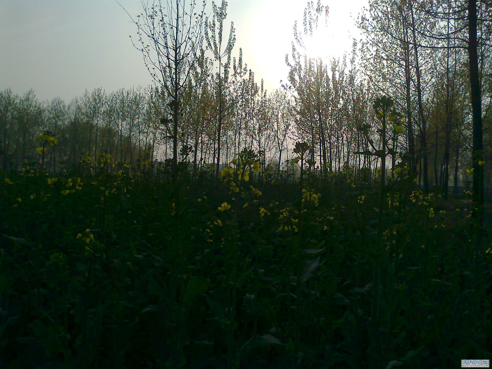 照片0137.jpg